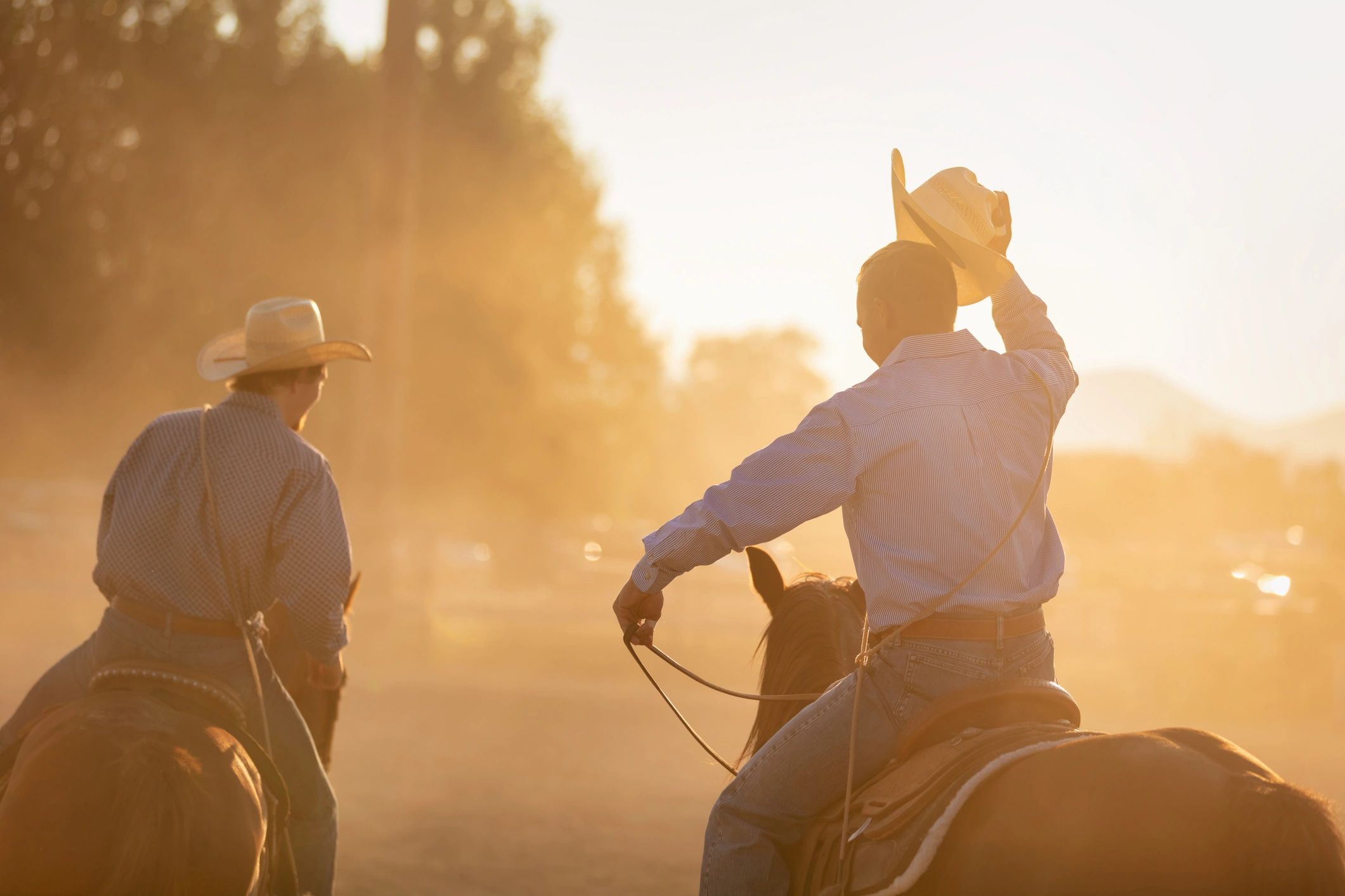 Rodeo cowboy silhouette at golden hour
