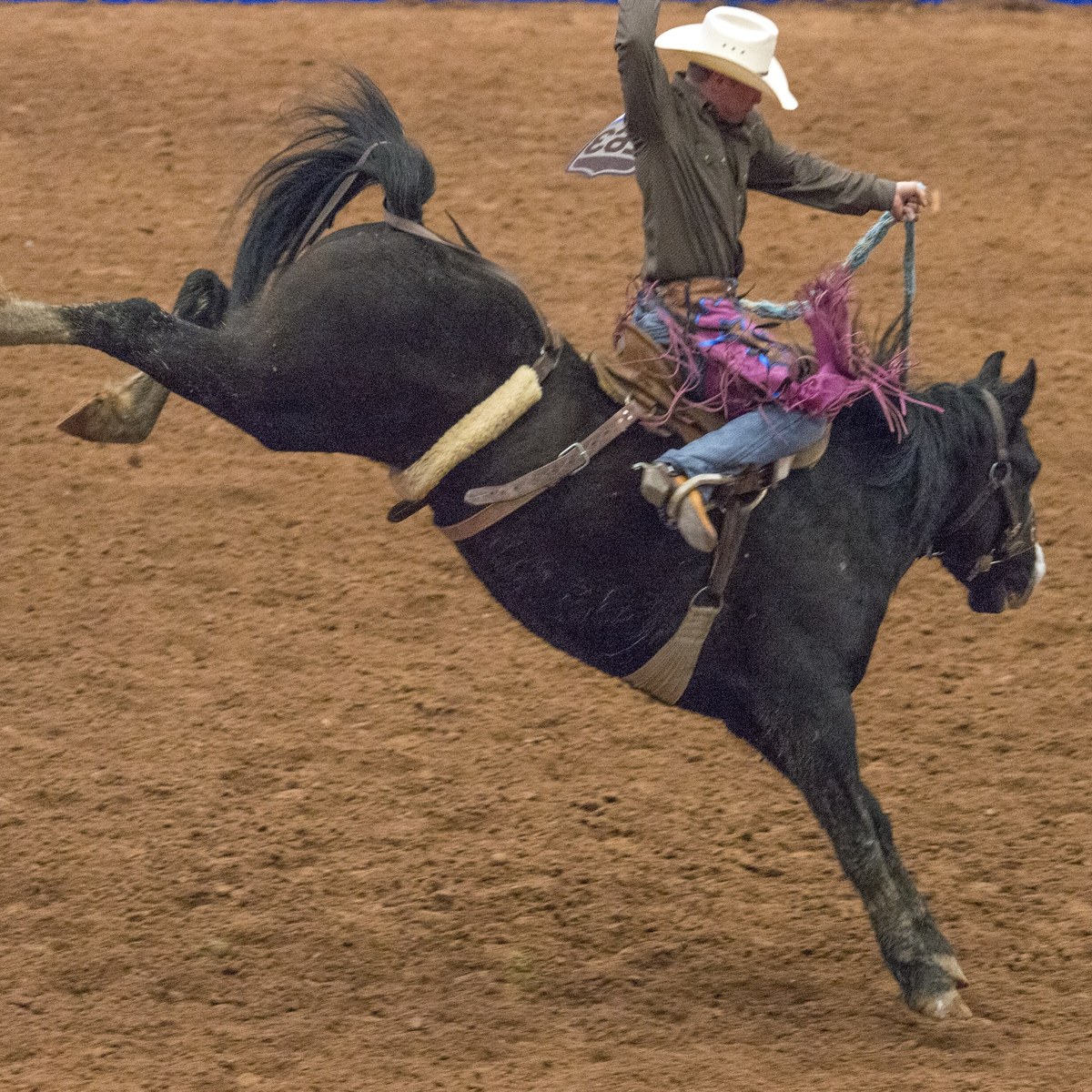 General Admission at Vintage Revival Rodeo